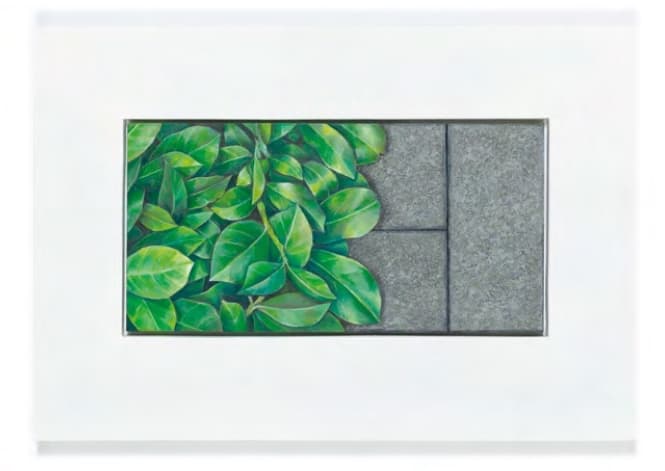 Vorgarten – Goldener Schnitt